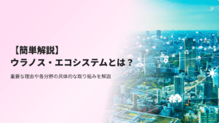 【簡単解説】 ウラノス・エコシステムとは？